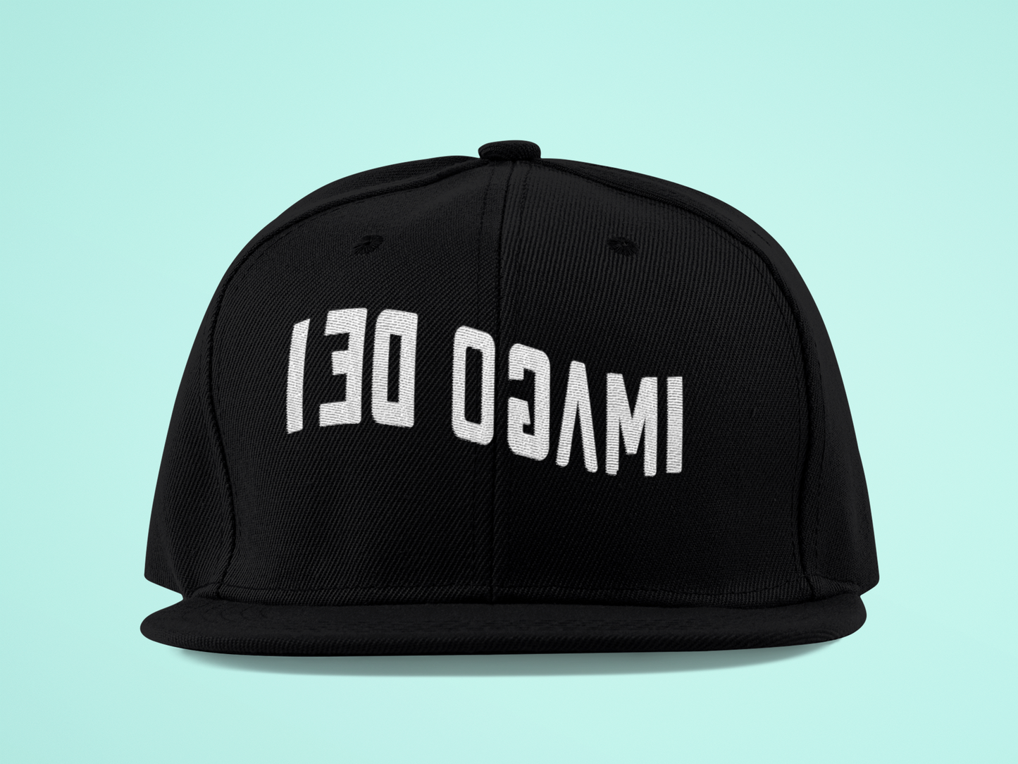 Reflect The Image Of God - Black Snapback-hats-Equris